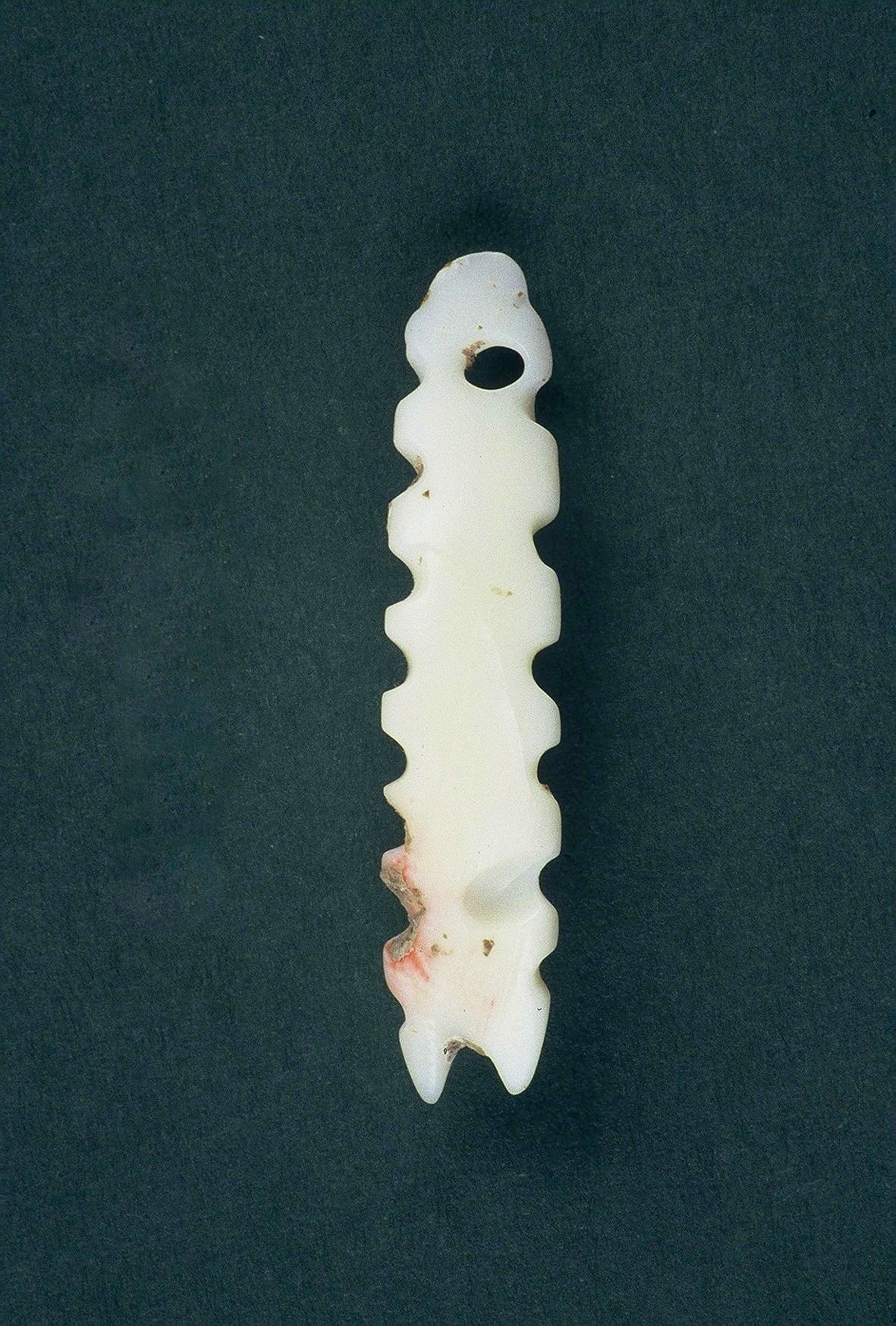 Κόσμημα με οδοντώσεις είναι επίσης από όστρακο, Νεολιθική εποχή 