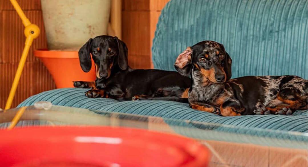 Casa Bilbo, σπίτι στη Μαδρίτη