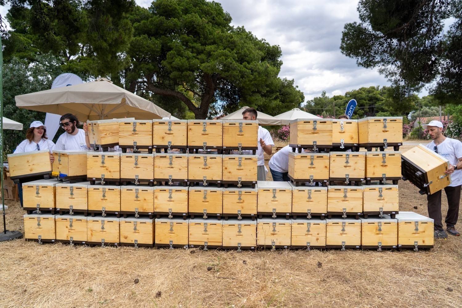 AEGEAN: Η βιωσιμότητα στην πράξη μέσα από το “Bee the Change”