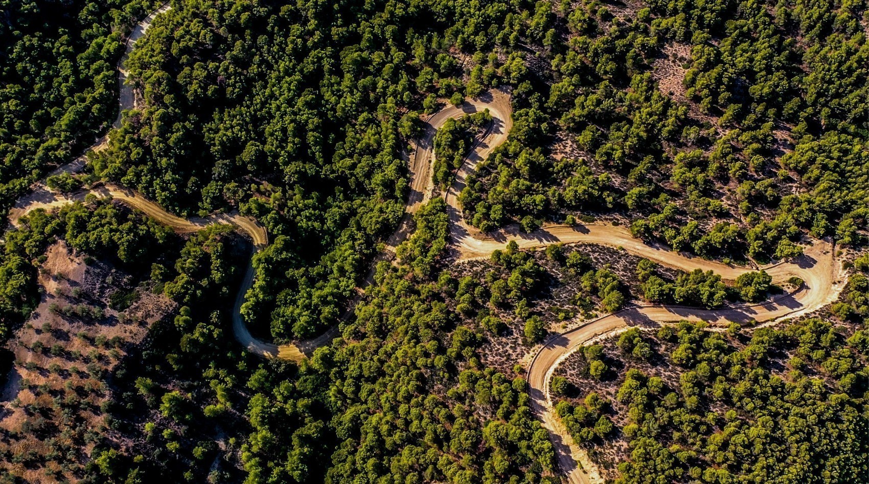 EKO Acropolis Rally 2026: Οι συμμετοχές της Ford