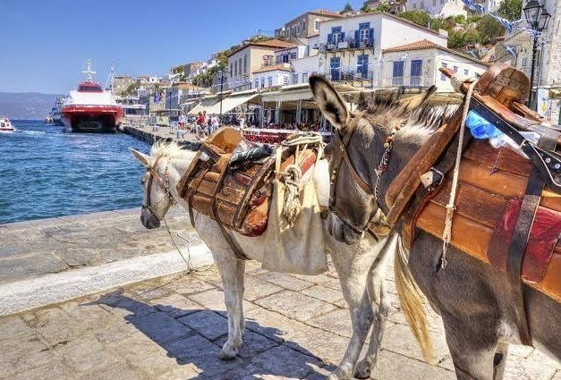 Τα γαϊδουράκια της Ύδρας
