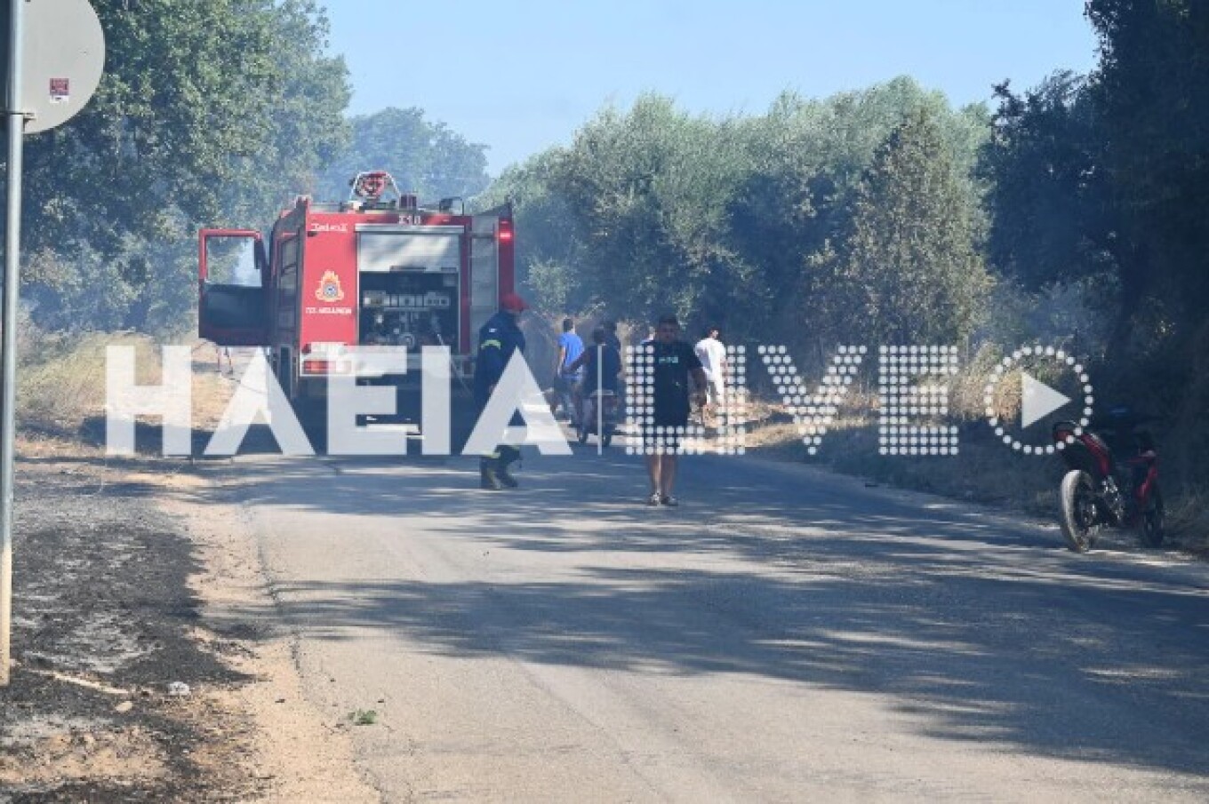 πηγή: ilialive.gr