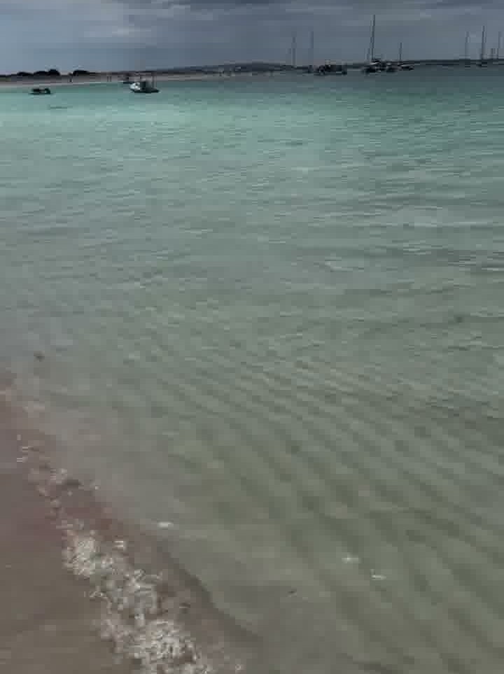 Φορμεντέρα
