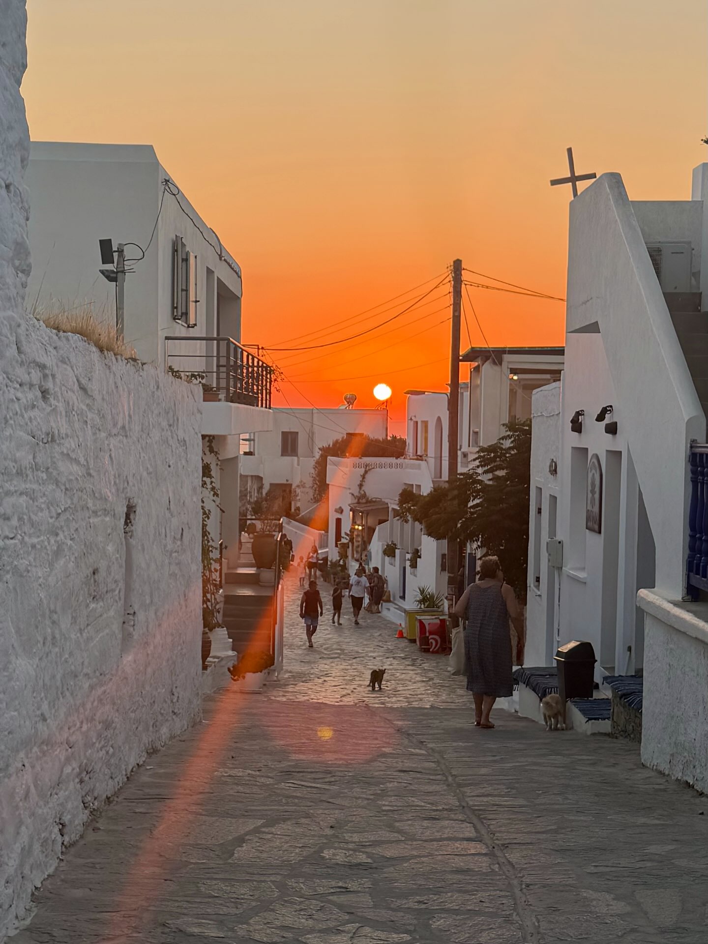 Σχοινούσα