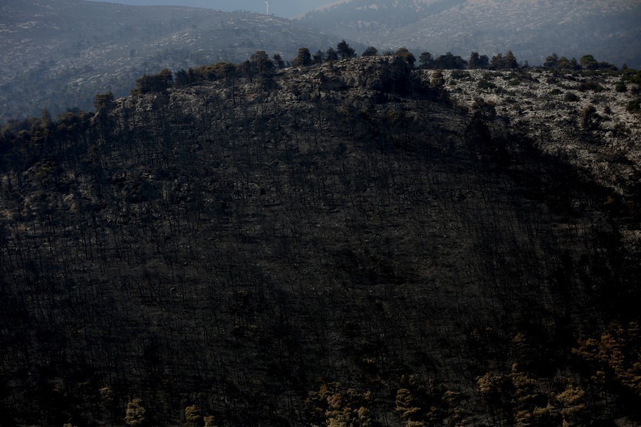 Καμένη δασική έκταση στο Πόρτο Γερμενό