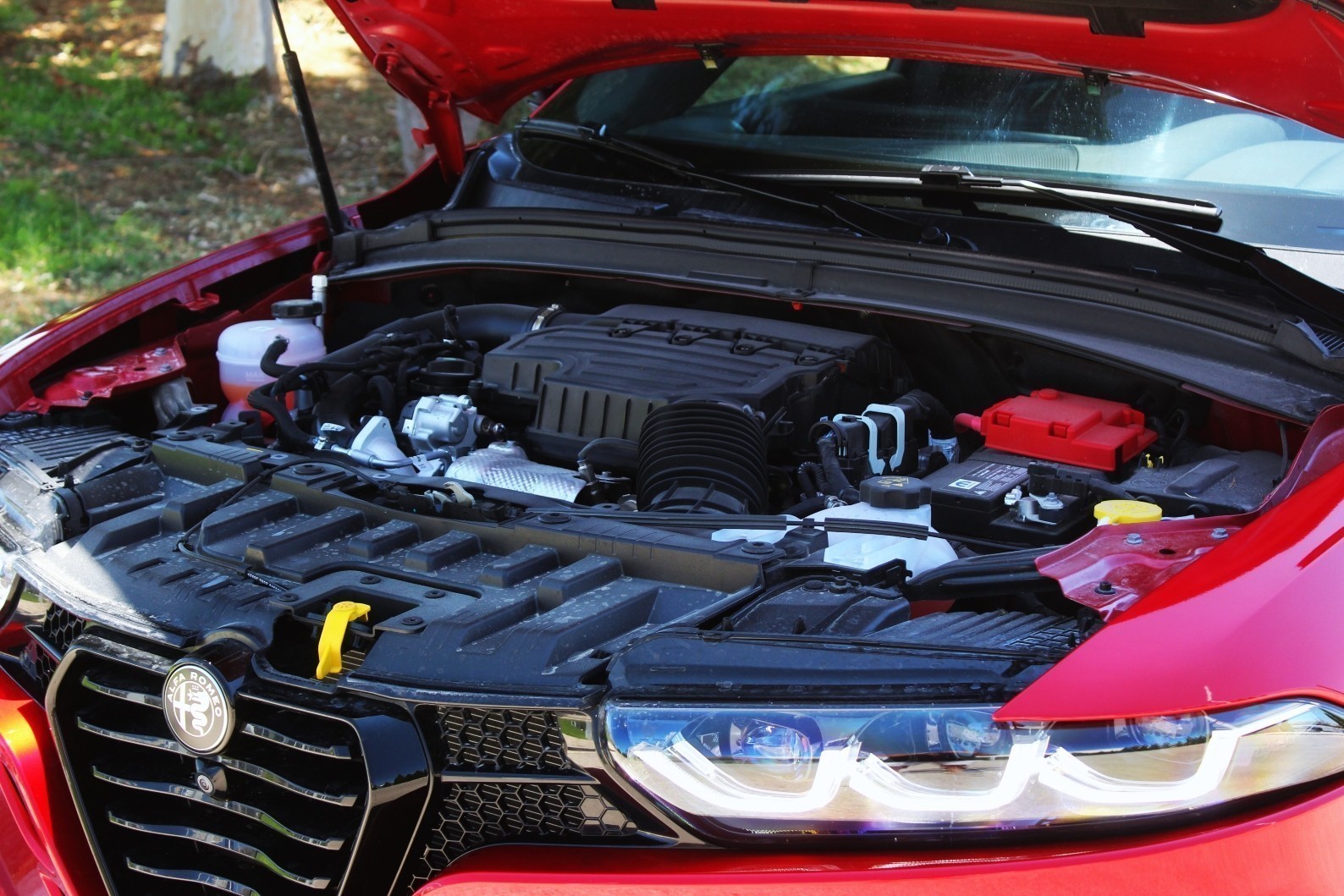 Alfa Romeo Tonale