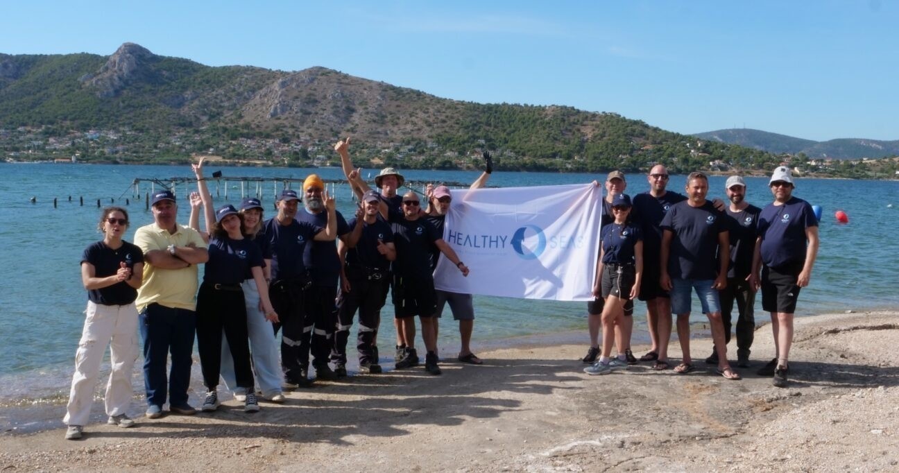 Healthy Seas και Hyundai