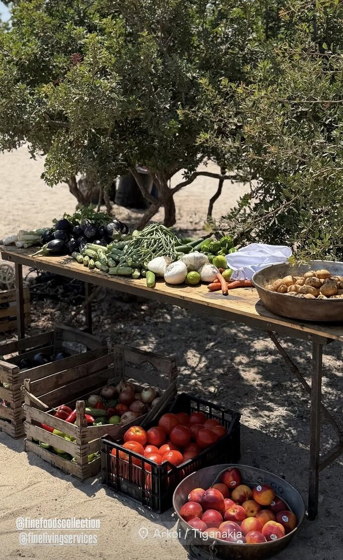 Τα φρέσκα λαχανικά έτοιμα να καταναλωθούν