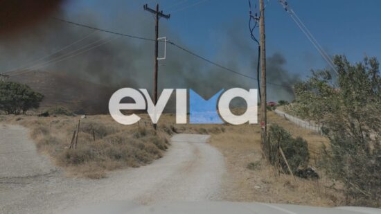 Φωτιά στην Κάρυστο: 112 για ετοιμότητα – Επιχειρούν έξι εναέρια