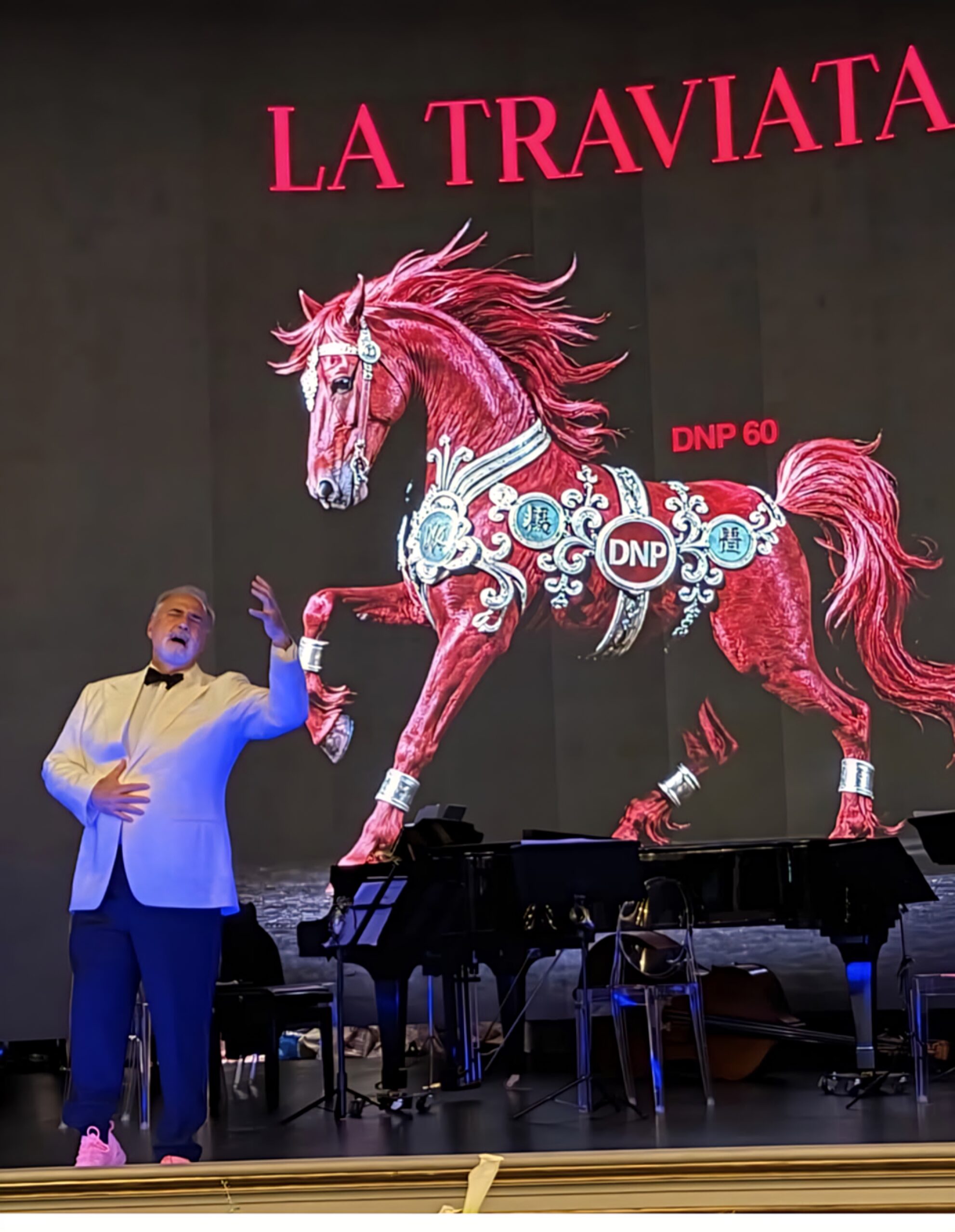 Η Traviata για τους καλεσμένους του Δημητρη Παπαδημητριου