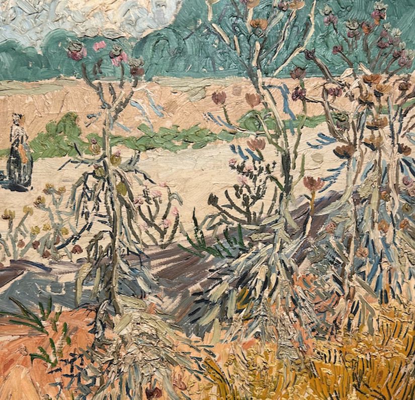 Βίνσεντ βαν Γκογκ «Αγριόχορτα», 1888