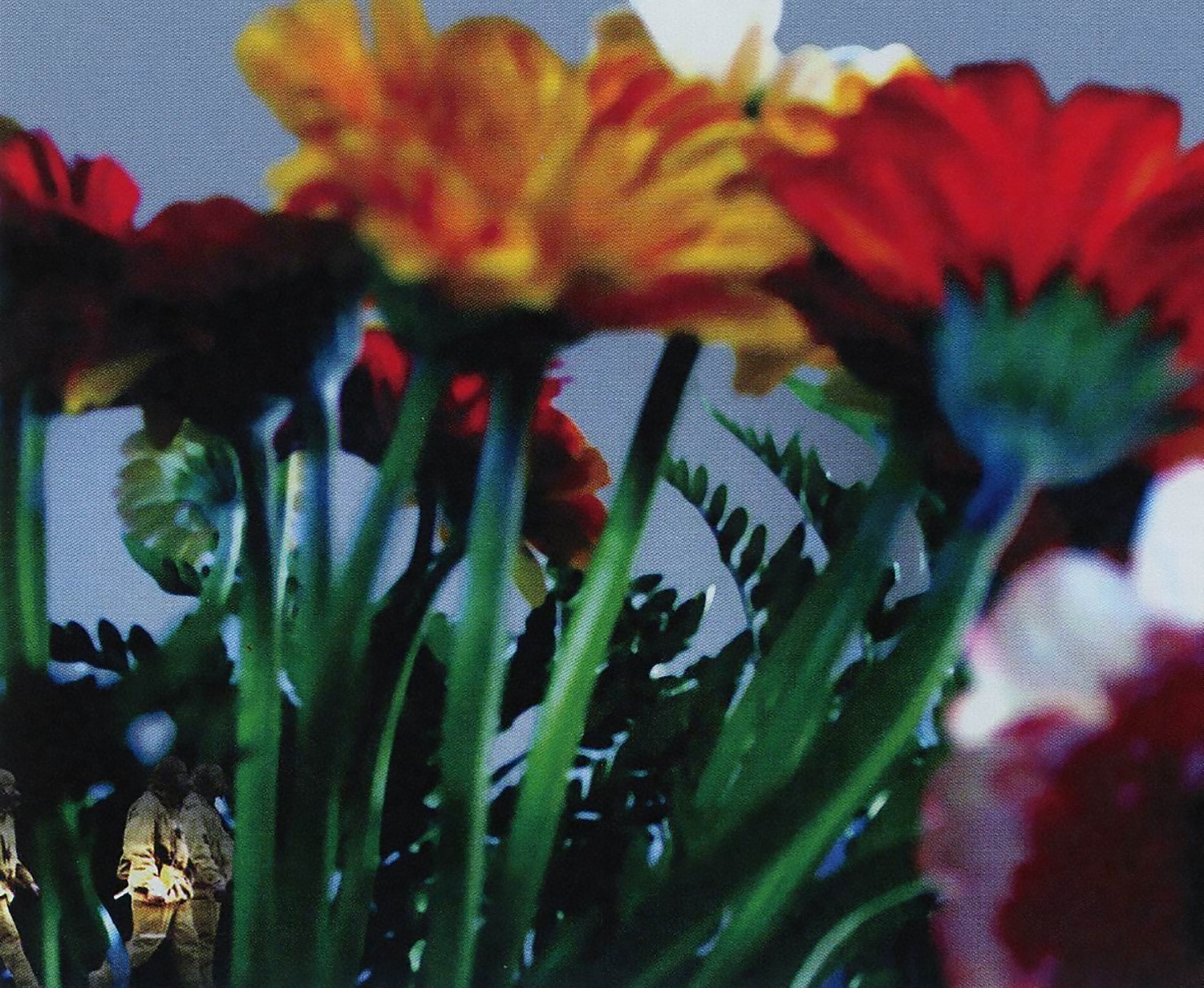 Δέσποινας Μεϊμάρογλου «Les Fleurs du Mal», 2004-2005, Ιδιωτική Συλλογή
