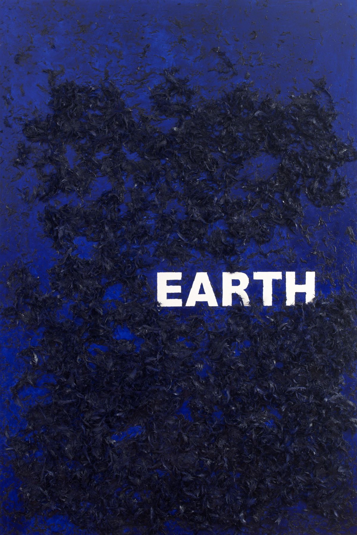 «Earth Freedom», 2026