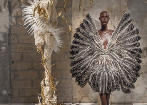 Έκθεση Iris van Herpen: Sculpting the Senses - Brooklyn Museum